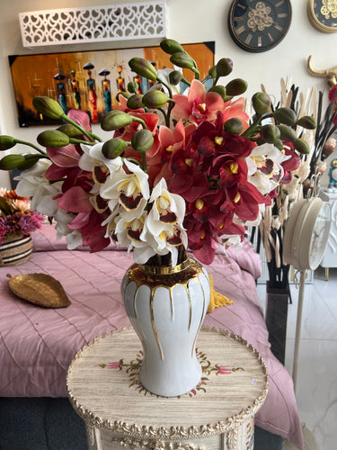 Boat Orchids Flower Stem