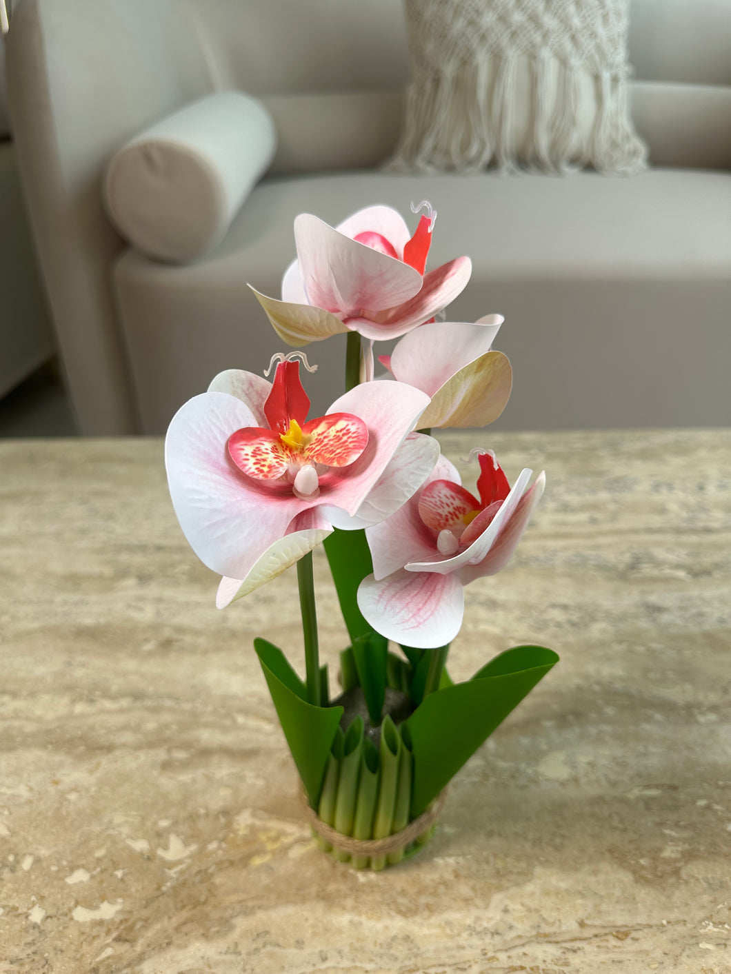 Orchid Standing Bunch medium 003