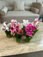 Orchid Standing Bunch medium