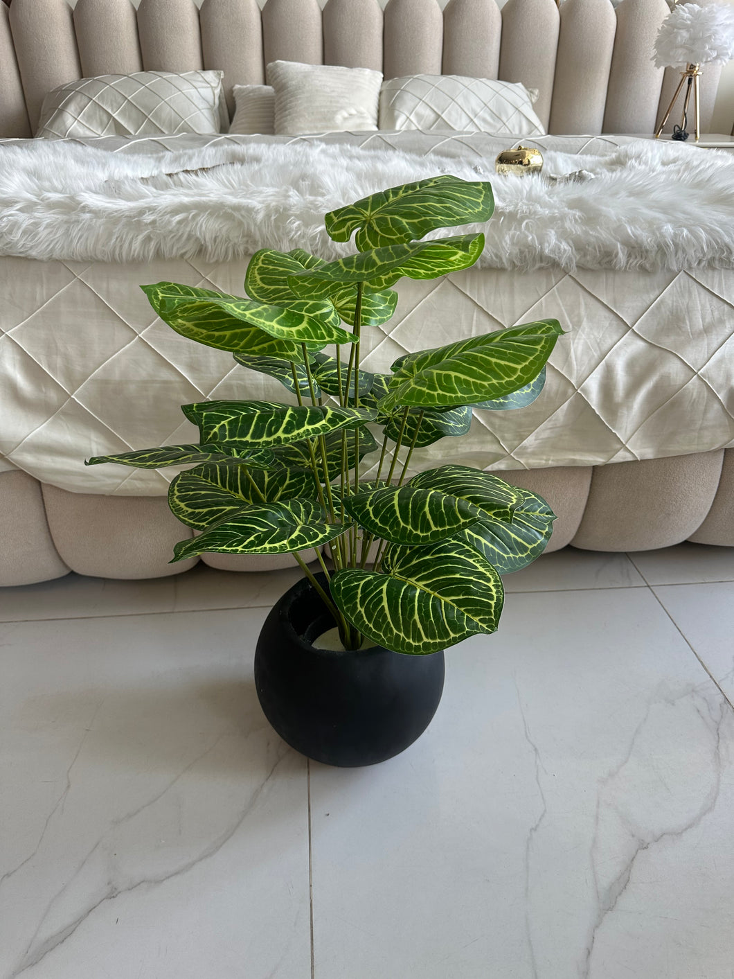 Round Pot  Plant (009)