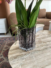 Cymbidium Orchids Pink