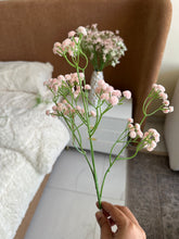 Baby Breath Large in Pink/White