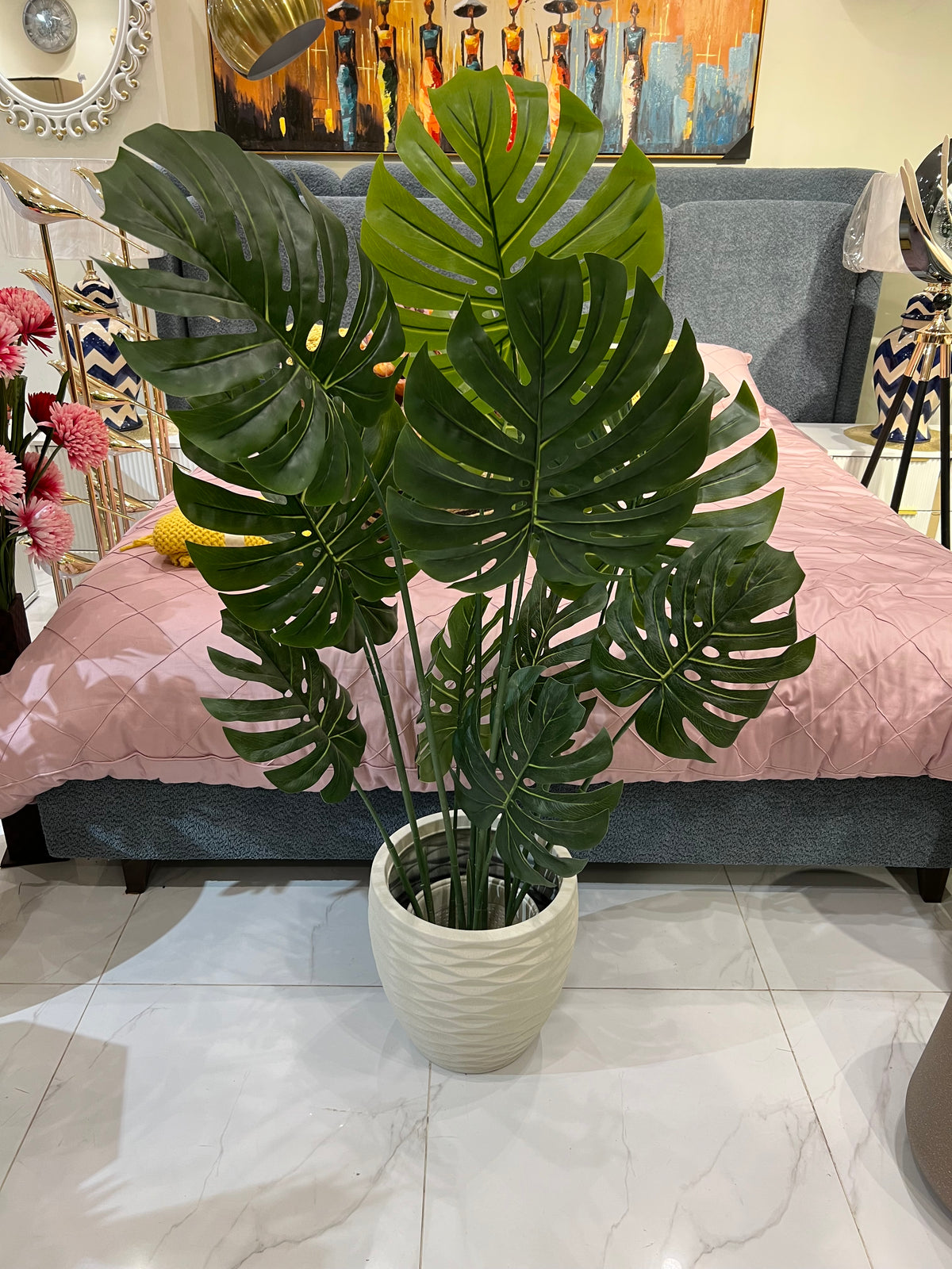 Monstera plant and planter 037