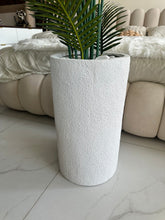 Areca Palm plant with Cylinder Tall Planter