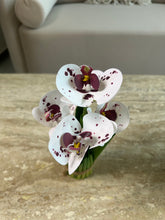 Orchid Standing Bunch medium 001