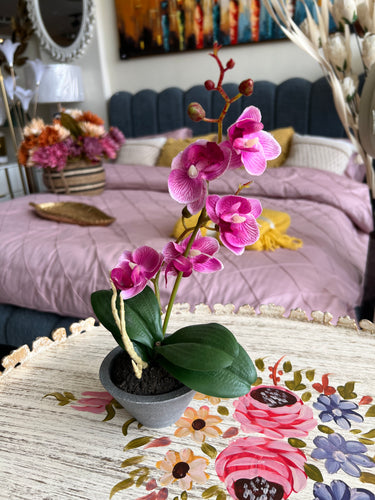 Orchid Planter Pink 004