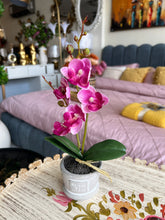 Orchid Planter Pink 007