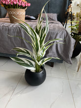Round Pot with Plant (001)