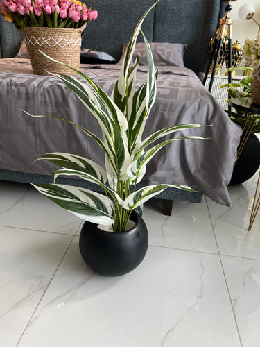 Round Pot with Plant (001)