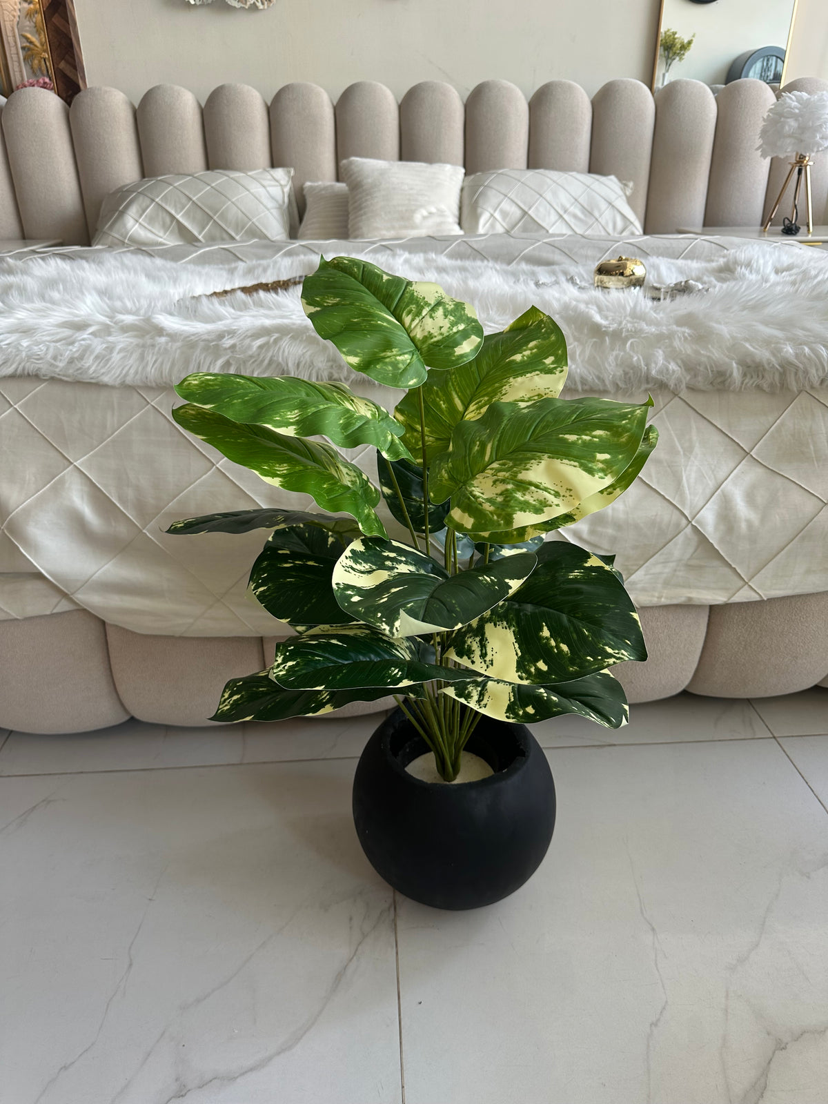 Round Pot  Plant (007)