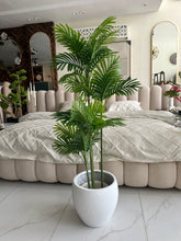 Areca Plant Small with Hugo planter White