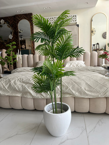 Areca Plant Small with Hugo planter White