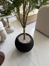 Olive with Round Textured Pot