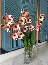 Cymbidium Orchids Orange