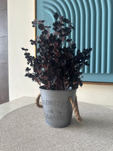 Eucalyptus planter Black