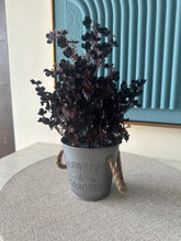 Eucalyptus planter Black