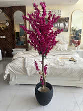 Magenta Blossom Flower Plant with textured Planter Black