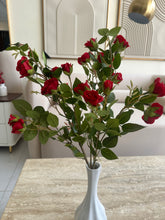 Small Rose flowers stem Red