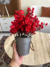 Eucalyptus planter Red