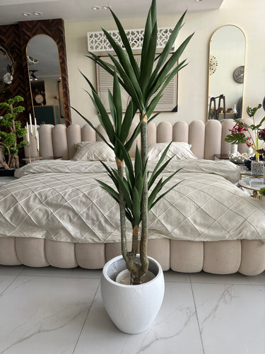 Agave Tree with Hugo planter White
