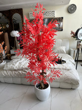 Red leaf Plant with textured Planter