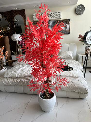 Red leaf Plant with textured Planter