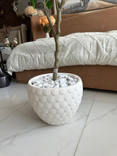 Jasmine Plant with Planter