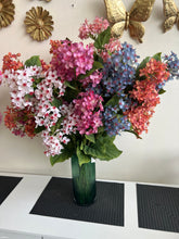 Hydrangea Flower Stems 02
