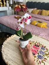 Orchid Planter 006