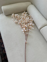 Wild Lilies Flower stem white