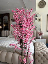 Light Pink Blossom Flower Plant with textured Planter Black