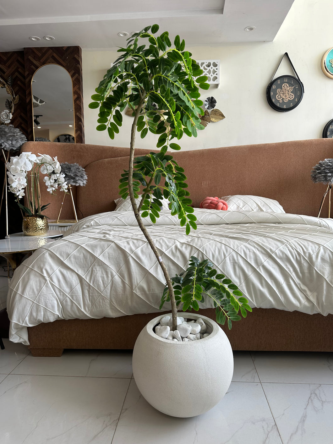 Greco Locust with Round White Texture Pot