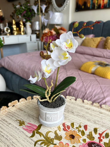 Orchid Planter White 008