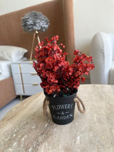 Eucalyptus planter Rust