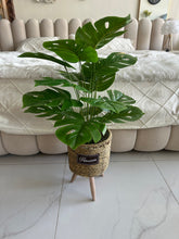 Artificial plant 001