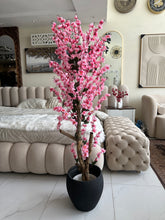 Light Pink Blossom Flower Plant with textured Planter Black