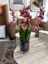 Cymbidium Orchids Pink