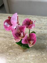 Orchid Standing Bunch medium 005