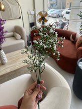 Baby Breath White 06