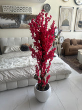 Red Blossom Flower Plant with textured Planter