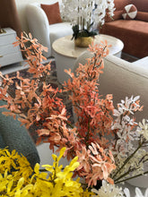 Winter Jasmine Flower