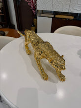 Shiny leopard Imported