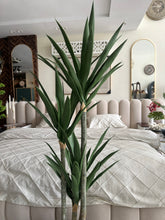 Agave Tree with Hugo planter Black