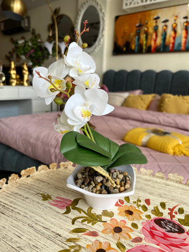 Orchid Planter White 010