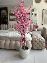 Light Pink Blossom Flower Plant with textured Planter
