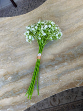 Baby Breath in White