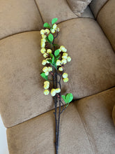 Berries Stem