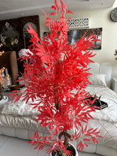 Red leaf Plant with textured Planter