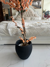 Peach Blossom Flower Plant with textured Planter Black