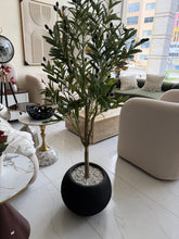 Olive with Round Textured Pot